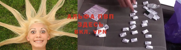 спиды Армянск