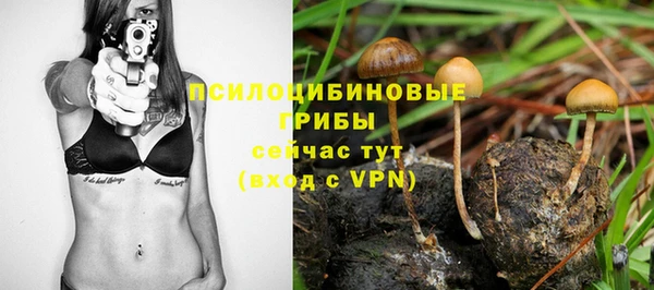 спиды Армянск