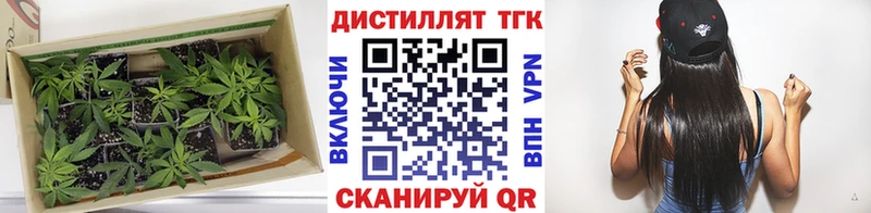 ТГК жижа  Купить где  Болотное 