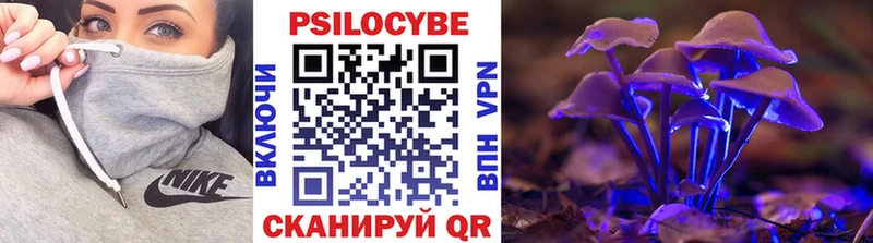 Галлюциногенные грибы GOLDEN TEACHER  Купить где  Болотное 