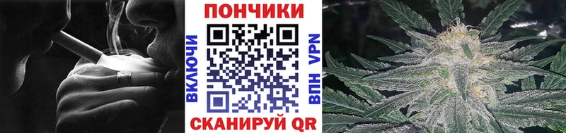 Бошки Шишки LSD WEED  Купить где  Болотное 